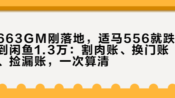 663GM刚落地，适马556就跌到闲鱼1.3万：割肉账、换门账、捡漏账，一次算清