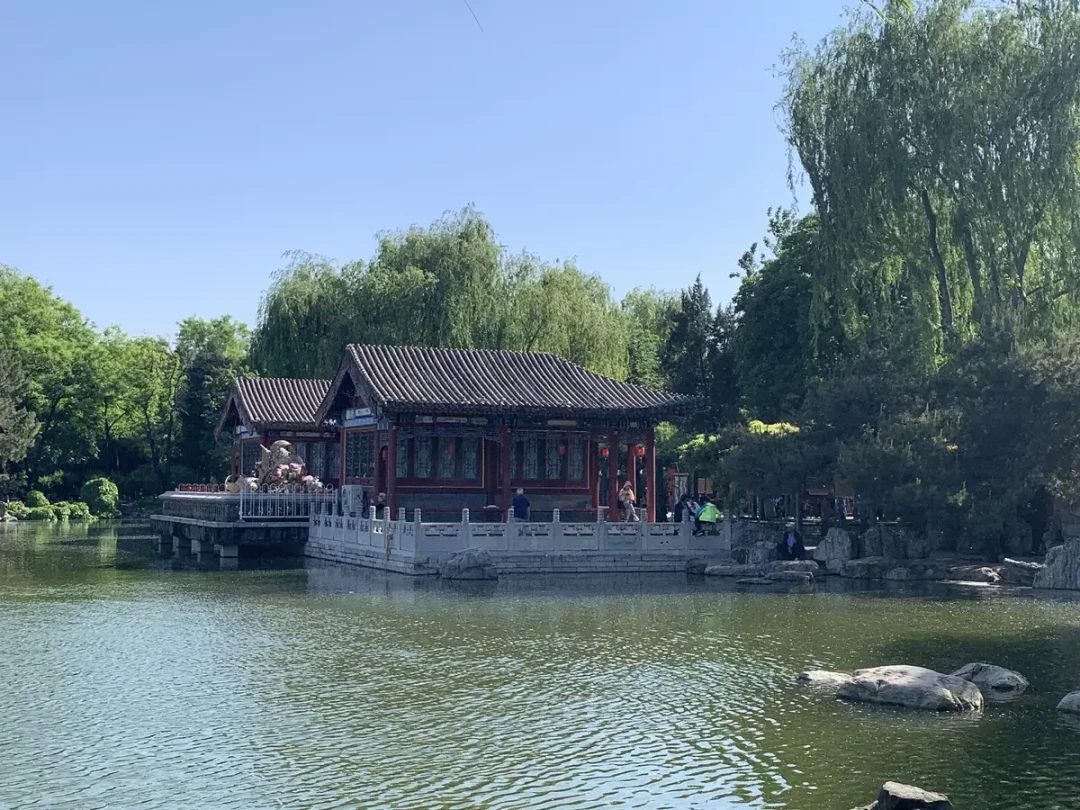 本周B站在吵
