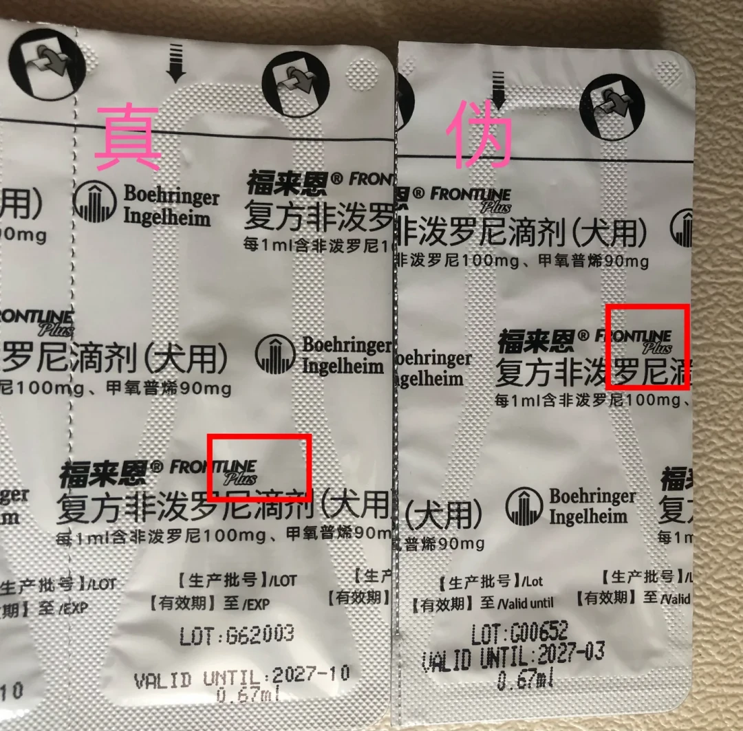 入秋蜱虫咬到狗身上,大狗家庭的驱虫账单被翻出来了:贝卫多一颗近200、