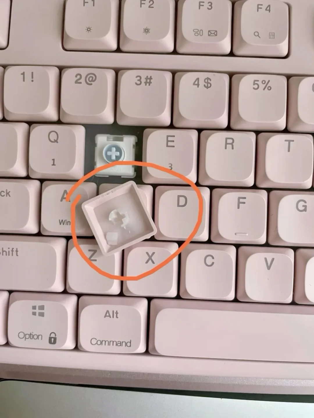被小红书种草柯芝前,先看这份攒了三年半的差评档案:过保Ctrl失灵只是最新一条