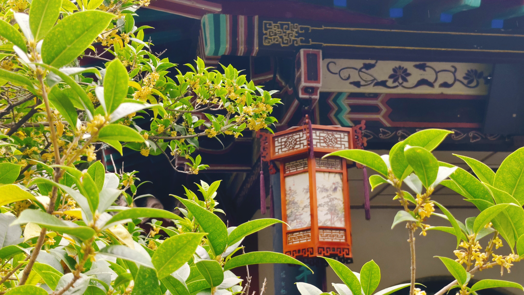 李清照的三个“家”国庆怎么选?我翻完三地近百条9月真实游记:出生地最贵,纪念堂最值,10块钱的青州祠争议最大