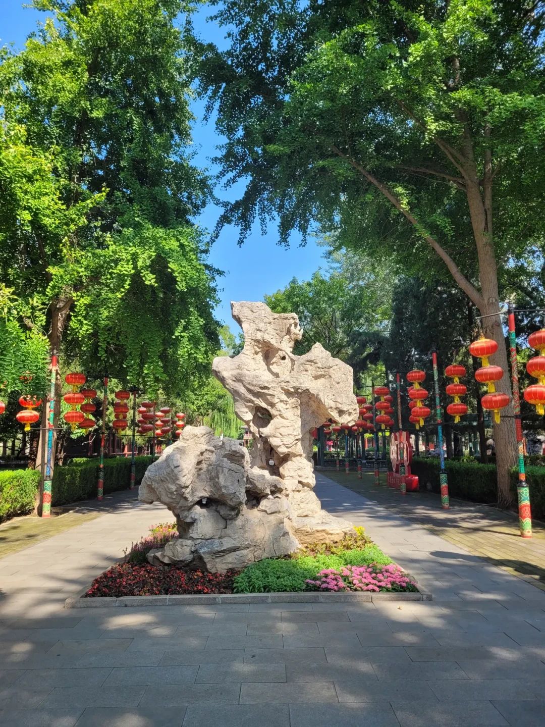 全网都在劝黛玉