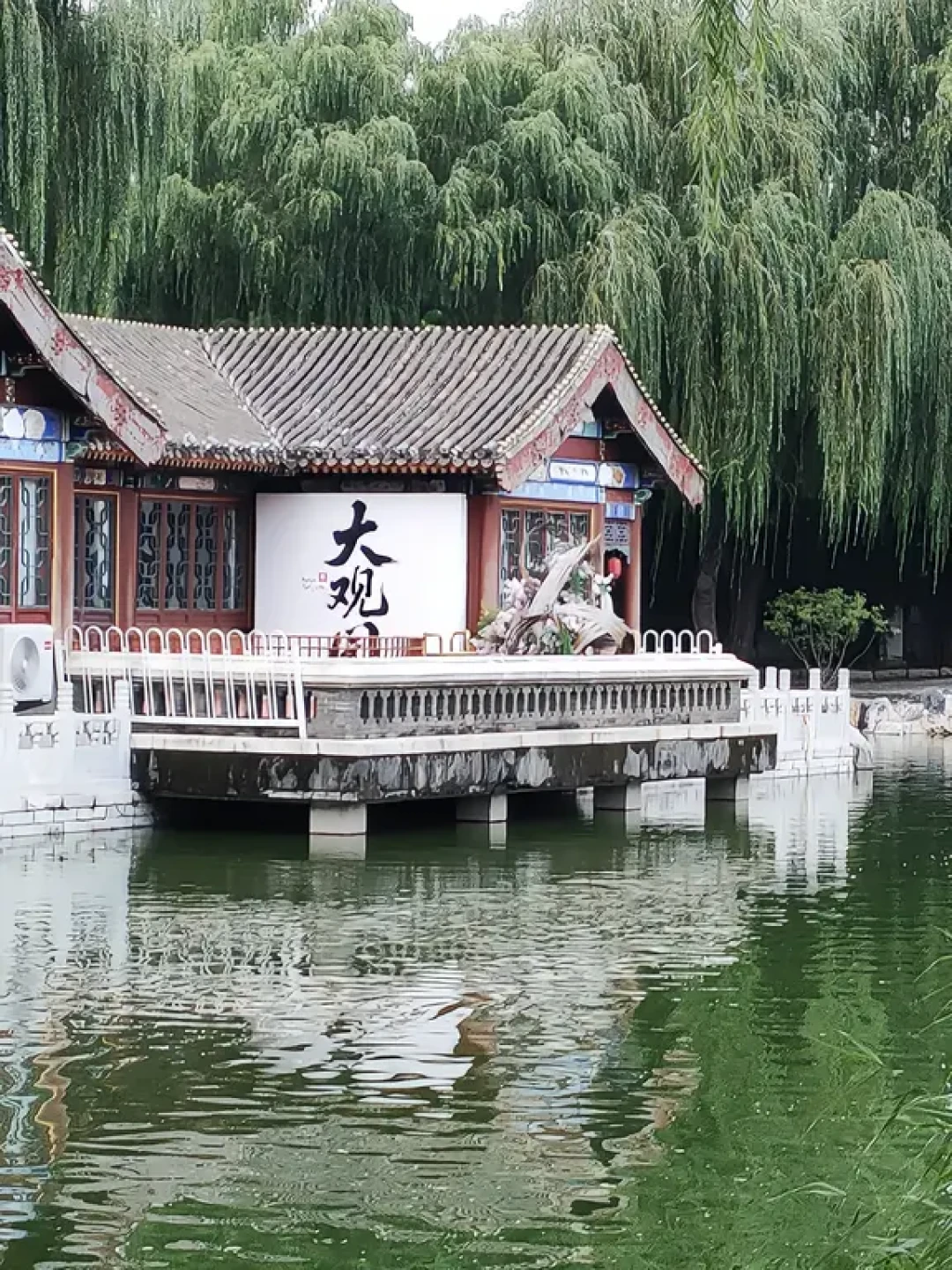 全网都在劝黛玉