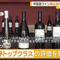中国葡萄酒出海、波尔多气候挑战 | 精品葡萄酒9.22日报