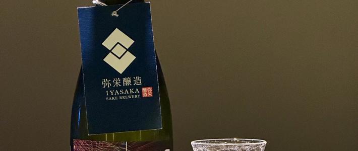 十割麹与地方酒体验 | 日本酒9.22日报