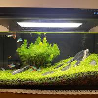寒潮还没到，加热棒的架先吵完了：对完全网避雷帖，没有零翻车品牌，只有三笔账
