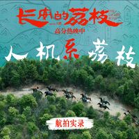 「史火龙强练降龙十八掌」火出圈了，但引用它的人多数把传承链记错了