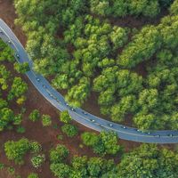 超慢跑跟练卷到“边跑边听《茶馆》”：3种容易跑进去的素材，恰好是3个要避的坑