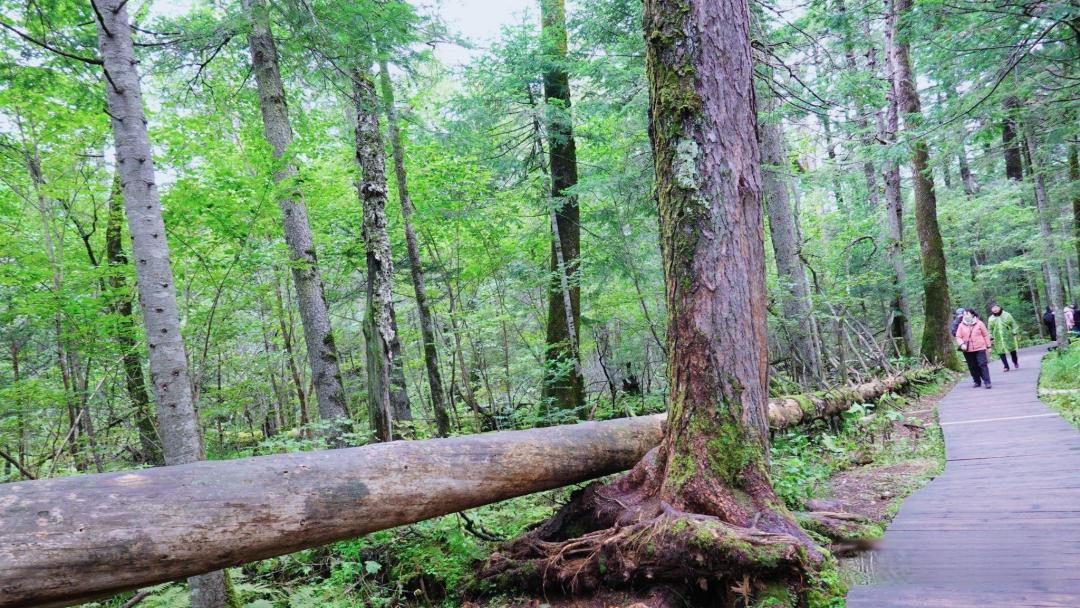 时差五小时长白山篇圆满收官 少年冰雪团建欢笑不断即赴巴黎