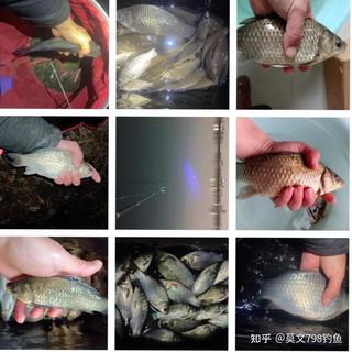 “七代比五代升级了啥”被问爆:百元国民竿换代季,新手这几十块差价该不该加