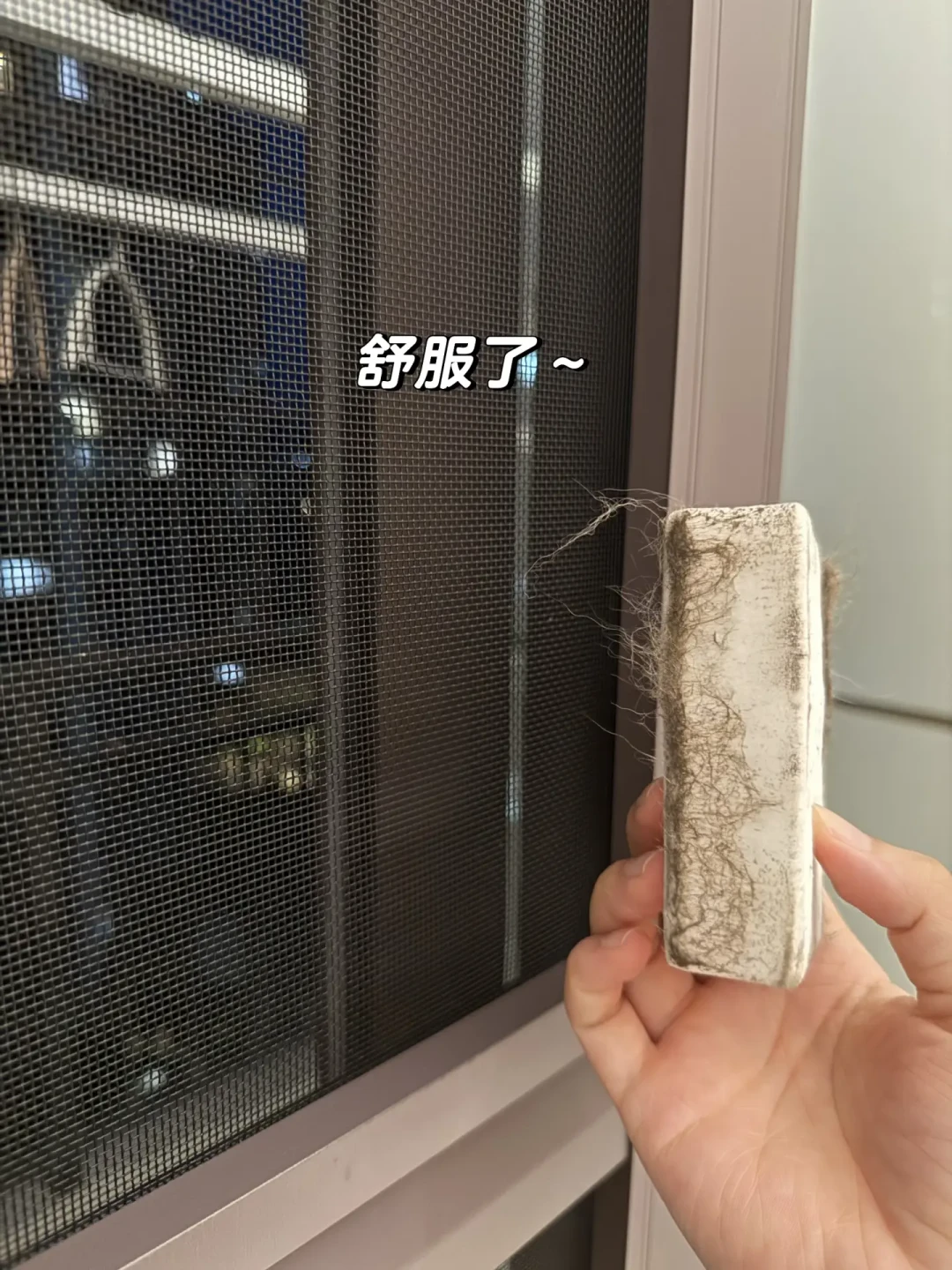 天凉要关窗,纱窗糊满灰和毛絮?别急着兑「白醋+洗洁精+护发素」,也别拿纱窗刷干刷:先摸网面分清玻纤、尼龙还是金刚网,再决定吸、擦还是拆下来冲——「湿着干净、干了大花脸」那条2400多赞的评论,就败在顺序上
