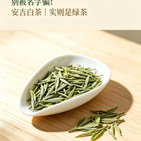 别被名字骗！安吉白茶｜实则是绿茶