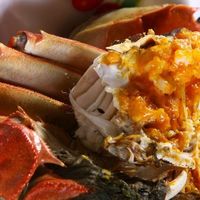 🦀特大鲜活大闸蟹|公母混装礼盒