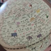 小朋友很喜欢的知识介质
