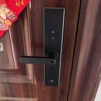 德施曼小嘀V20智能门锁 家用入户门指纹密码锁全自动防盗电子锁