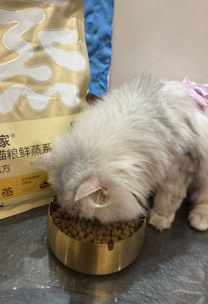 高爷家猫咪干粮