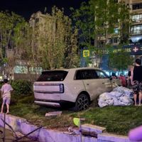 雷军把"首撞"讲成了段子：但那晚替澎程踩下刹车的，是绿化带