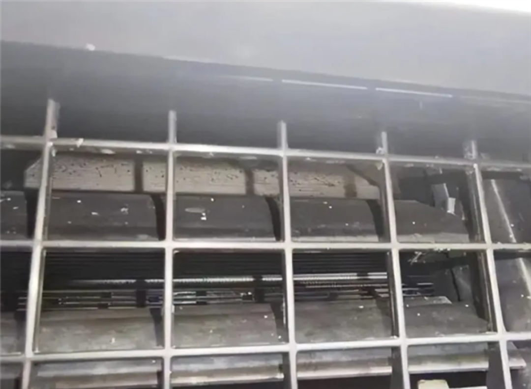 女车主喜提新奔驰 次日车身爬满蚂蚁!4S店:不属于质量问题