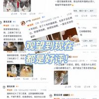 还在观望猫爸爸家中老年猫粮？