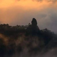 中老年蛋白粉怎么选？先看蛋白来源与蛋白质含量，五步对照不踩坑