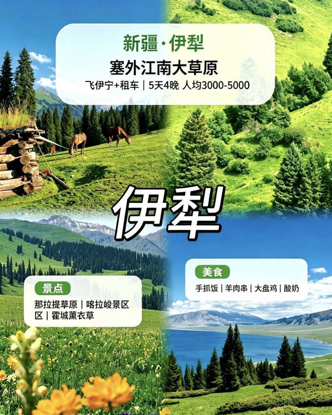 国内度假