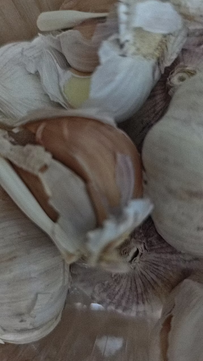 蔬菜
