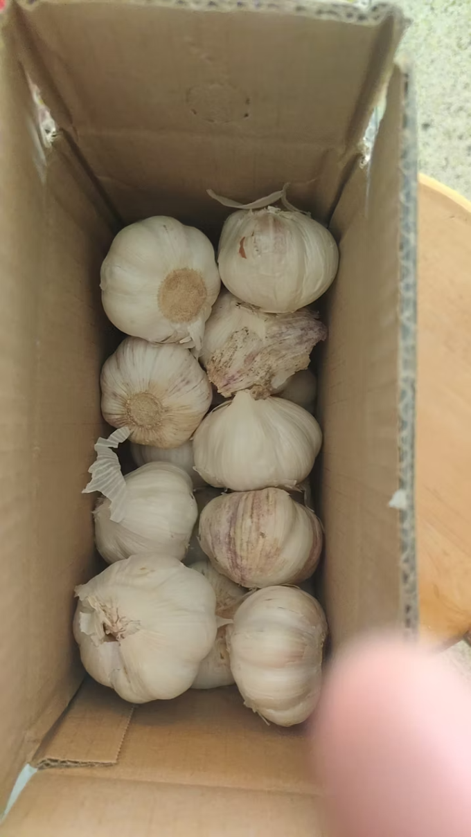 蔬菜