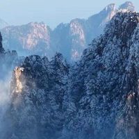 哪种海参泡发最简单？2026年从操作难度出发的淡干海参对比