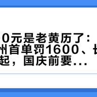 封顶500元是老黄历了：法典生效后柳州首单罚1600、长春查处858起，国庆前要拆回的三类改件与备案能留的两类，我一张表摆完边界