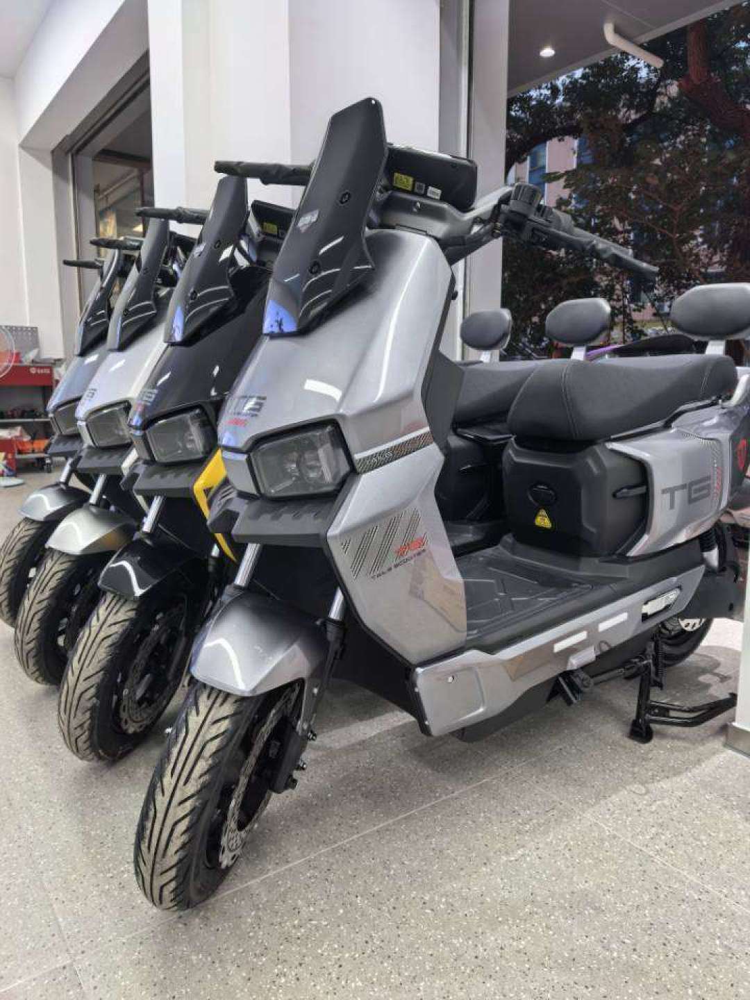 台铃坦途二代被