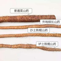 一边卖家喊"9月1日温县垆土开挖现挖现发"、一边产区官媒的收获季照片停在十一月：我把2026山药的4条身份线、4站开挖日历、3张价签和身份、窗口、切片三笔账拼了一遍——距中秋3天，先弄清你蒸的那根是铁棍，还是菜山药cos的