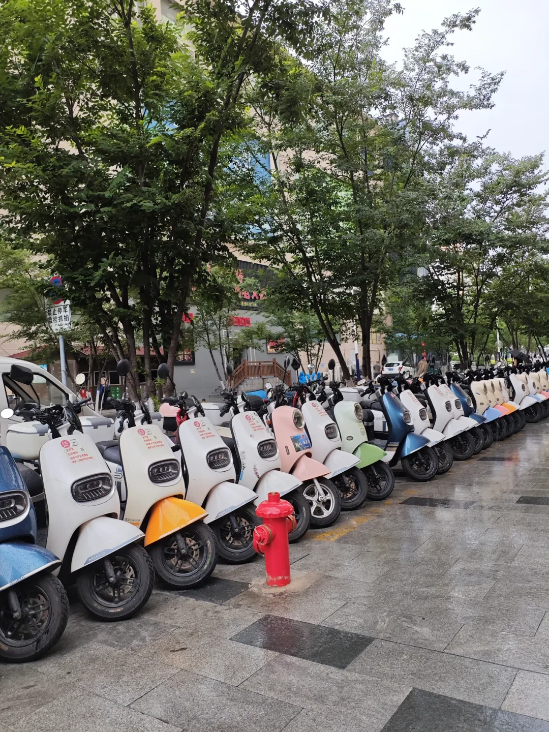 双节租到的台铃,和店里那台不是同一个世界:跨城对完20-70元/天的报价、报警退订帖和两块驾照提醒,下单前先过这五关