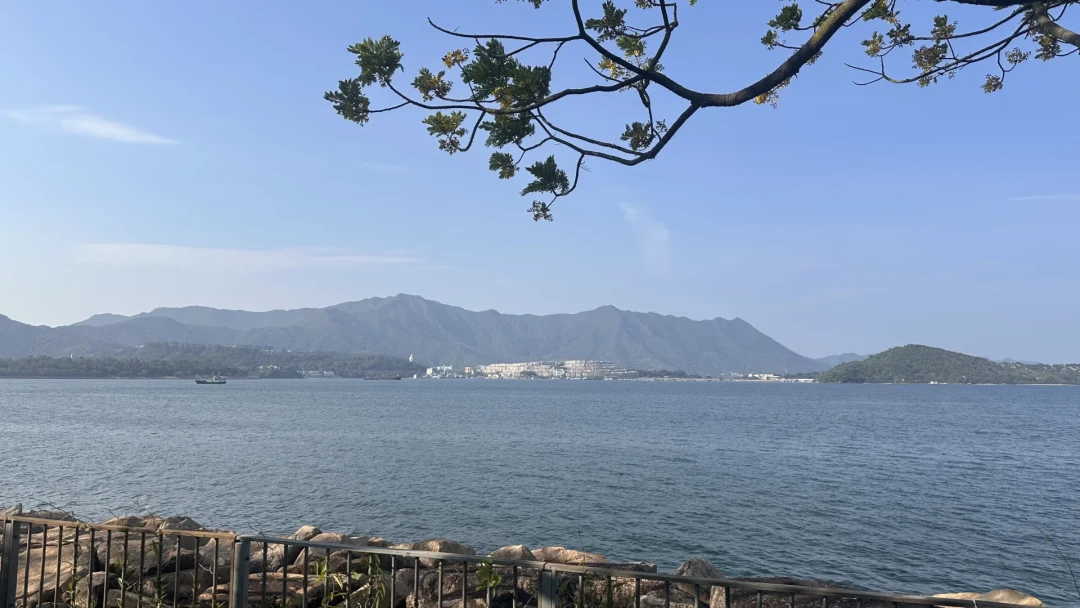 600港币骑56公里,还得先过一场“自行车驾考”:香港单车节10·11鸣枪,这周小红书全是考核帖和过关求助——我把官方路线账、蒲岗村道考核实录、五条带车路线的价格和风险对了一遍,给已拿名额的内地骑友排清车怎么带、考核怎么过、三天怎么排、钱花在哪