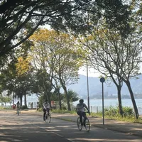 600港币骑56公里，还得先过一场“自行车驾考”：香港单车节10·11鸣枪，这周小红书全是考核帖和过关求助——我把官方路线账、蒲岗村道考核实录、五条带车路线的价格和风险对了一遍，给已拿名额的内地骑友排清车怎么带、考核怎么过、三天怎么排、钱花在哪