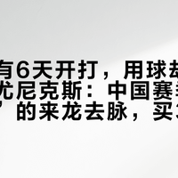 中网还有6天开打，用球却从海德换成尤尼克斯：中国赛季“四站一球”的来龙去脉，买35元同款球前先看懂这几件事