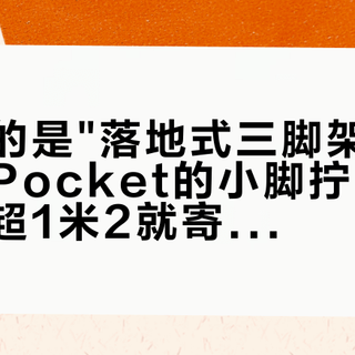 故宫禁的是"落地式三脚架"，迪士尼把Pocket的小脚拧了下来，国博超1米2就寄存：国庆带架党上路前，先把这六道关和三档价钱对一遍