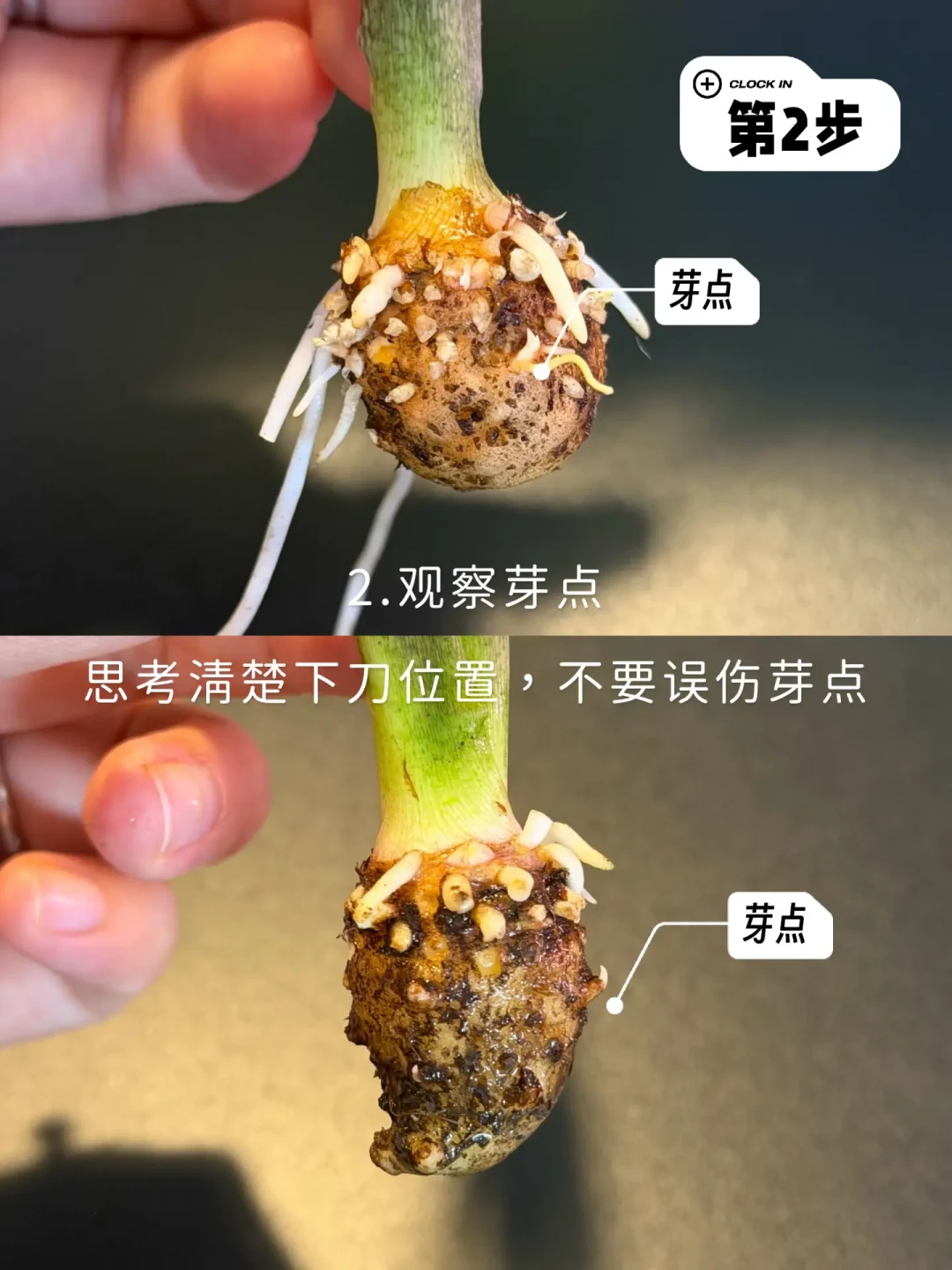 秋分一过，