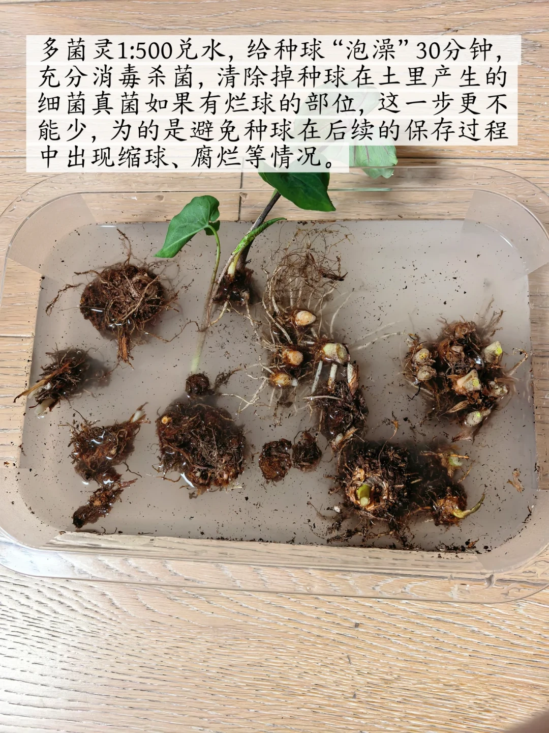 秋分一过，