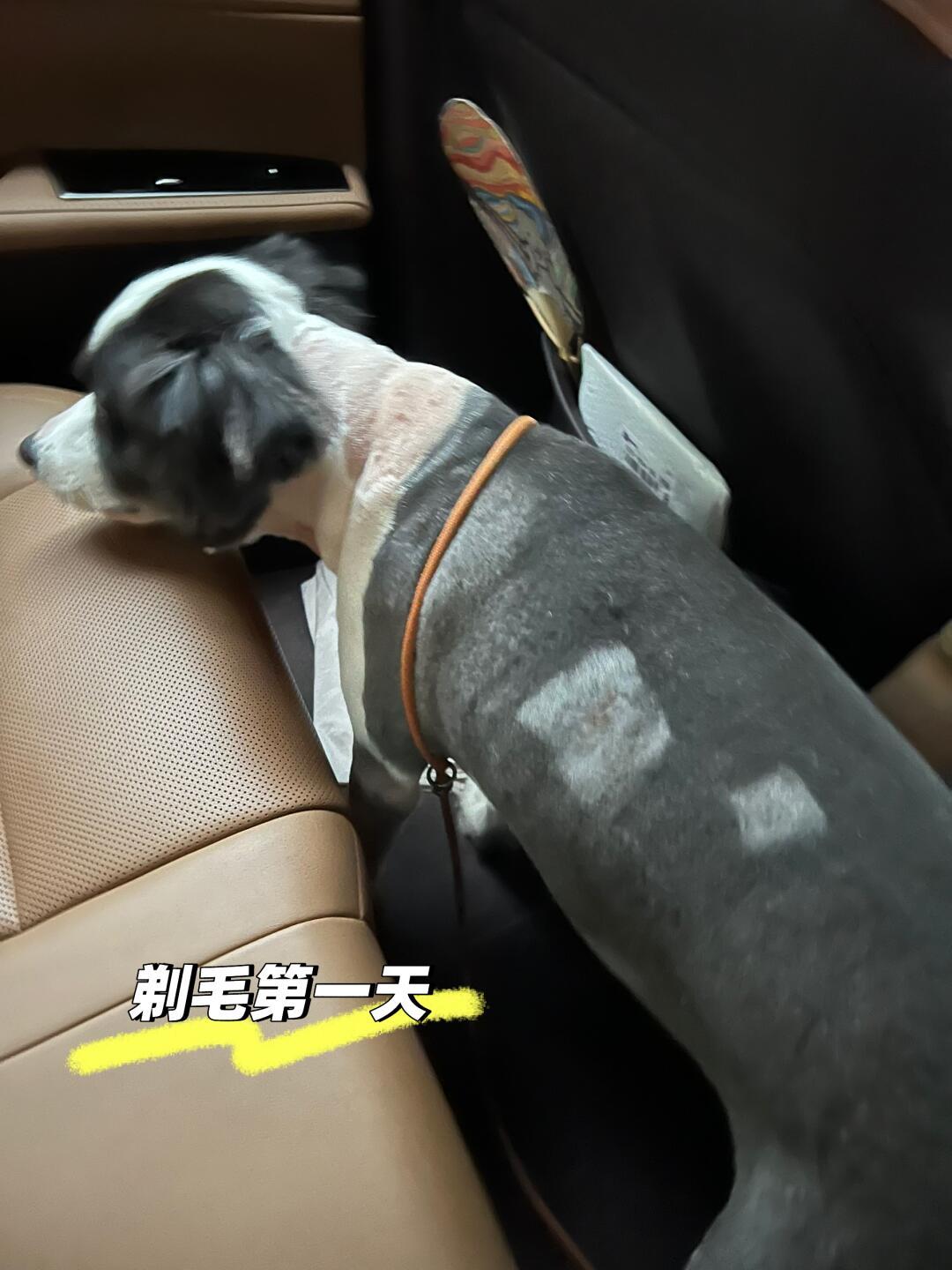 你说