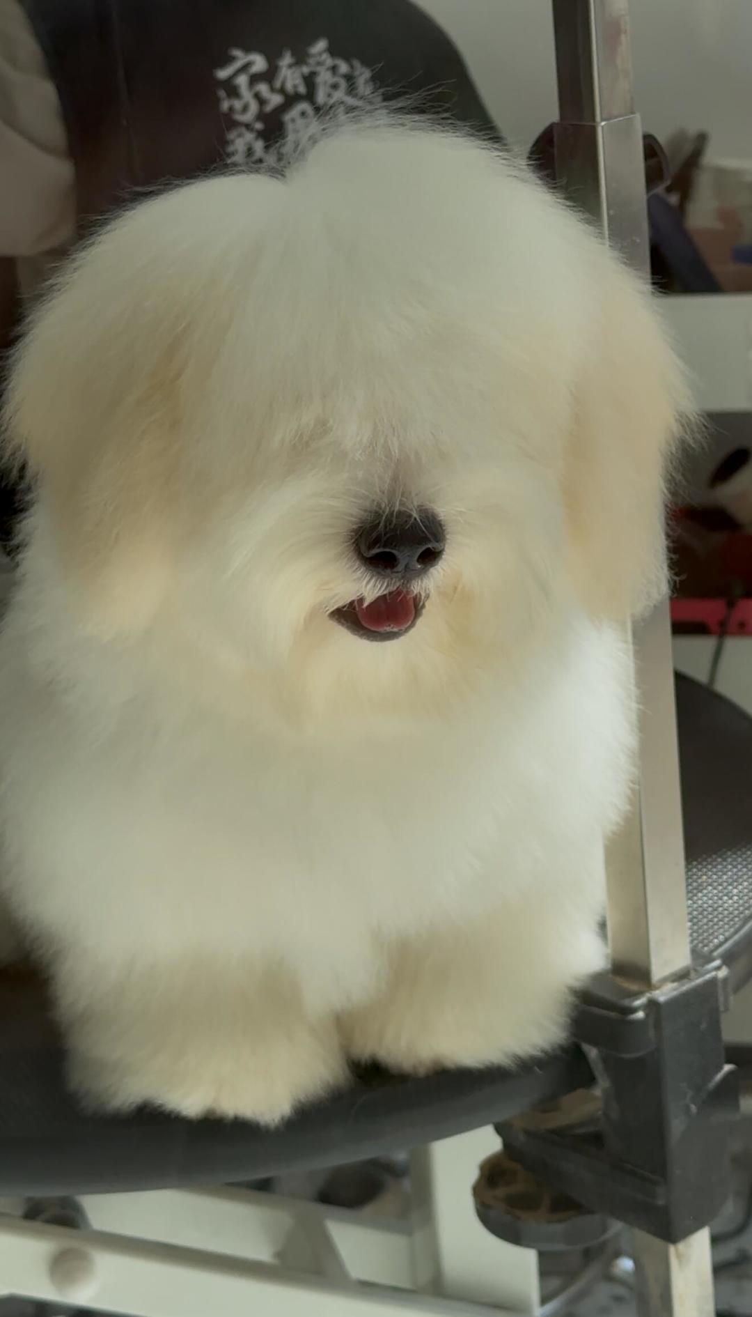 你说