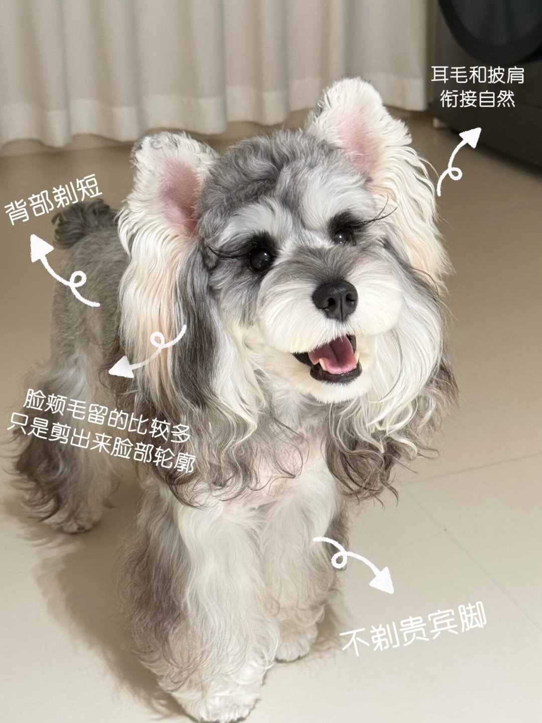 门店说“休假”,评论区说“走了”:翻完3平台80多条美容师离职寻人帖,我把“跟不跟、等不等、赌不赌”三笔账分了诊