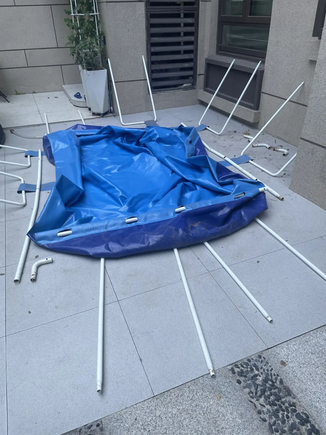 2.1万赞的自建鱼池,最高赞评论却是
