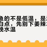 秋天杀鱼的不是低温，是温差：鱼身长白点，先别下姜辣水，测一次早晚水温