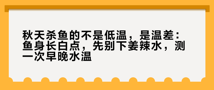 秋天杀鱼的不是低温，是温差：鱼身长白点，先别下姜辣水，测一次早晚水温