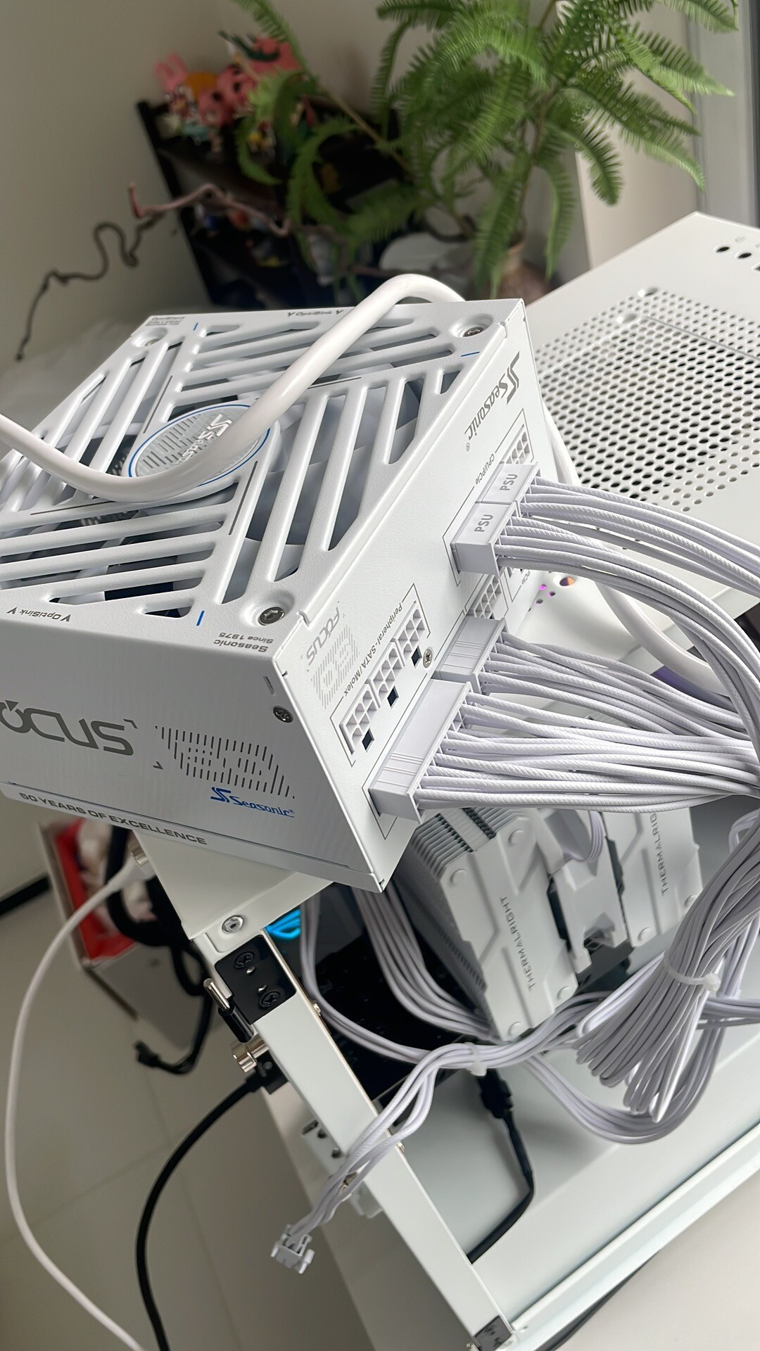 FOCUS v5的“A级静音”也叫:海韵官方两次下场接啸叫售后,敲门前先分清这四种响