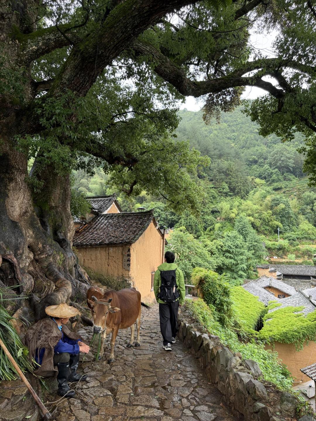 高铁票秒空、酒店刺客刷屏：华东人的中秋国庆13天，反向游名单现在抄还来得及
