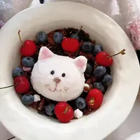 脱脂牛奶能做干噎酸奶吗?这条今天发布的知乎提问还没人答,全网翻车帖已经写满了三道坎