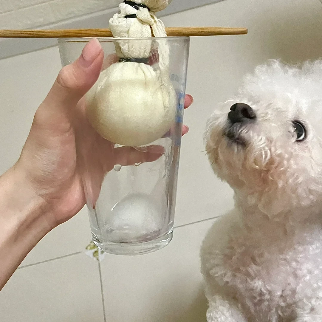 芝士干噎酸奶火了:自制乳酪其实分两条路,选错一路一个成豆腐渣一个永远不够干