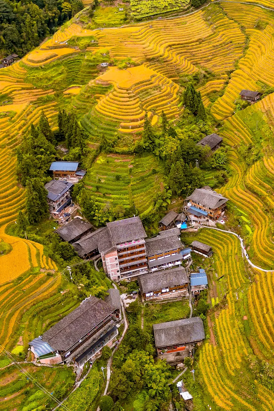 龙脊梯田