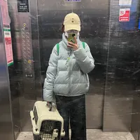 双节是爱宠行扩到163站后第一次大考：带猫回家还是留城，先分4条路、对3张时间表、再记5条红线